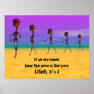 Póster Skallywags