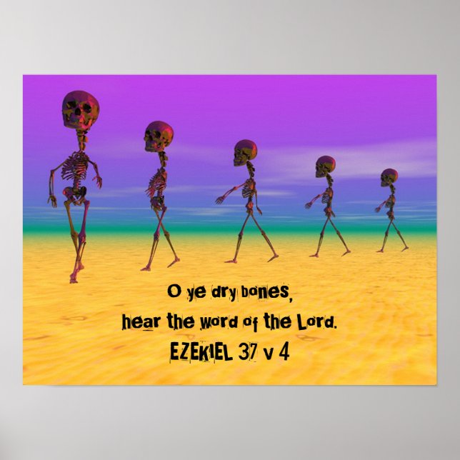 Póster Skallywags (Frente)