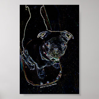 Póster Skateboarding Pug Poster