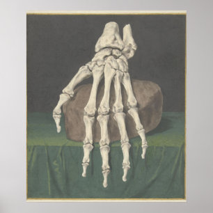 Póster Skelet van een hand por Jan l Admiral