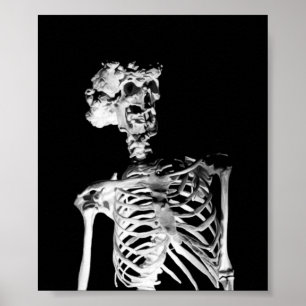 Póster Skeleton