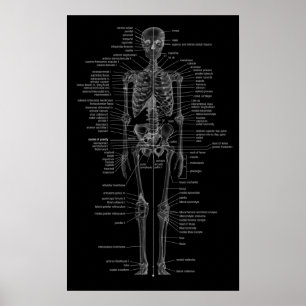 Póster skeleton poster-chalkboard style