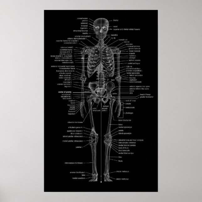 Póster skeleton poster-chalkboard style (Frente)