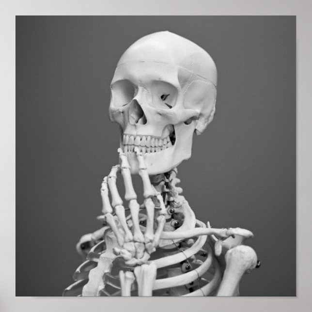 Póster Skeleton Skull Halloween Gris negro y blanco (Frente)