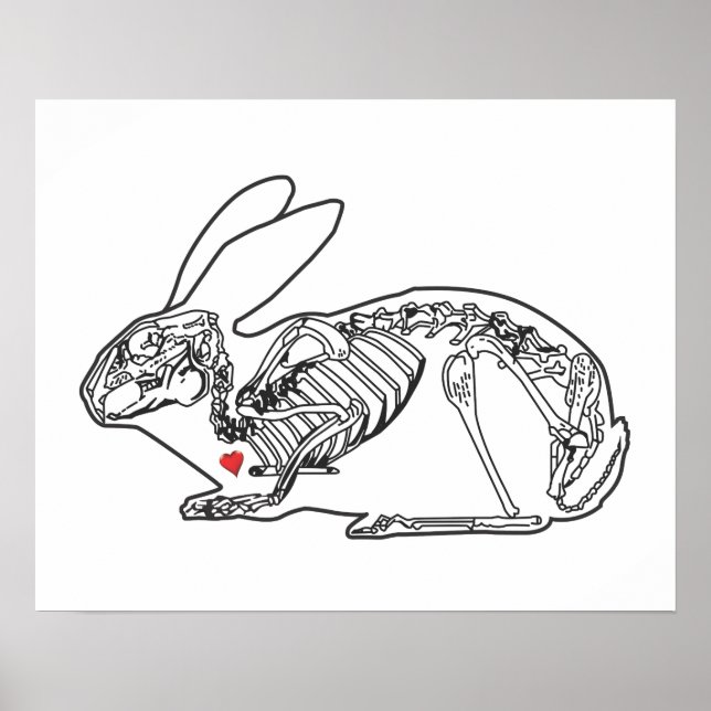 PÓSTER SKELLY BUN (Frente)