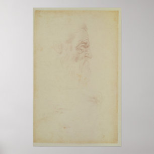 Póster Sketch of a male head and two legs