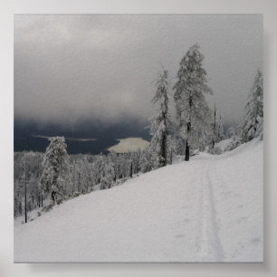 Póster Skintrack @ Hull Mountain