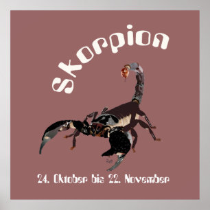 Póster Skorpion 24. Octubre bis 22. Poster de noviembre