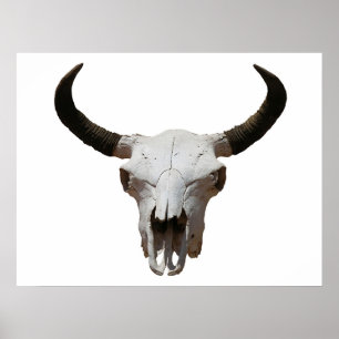 Póster Skull