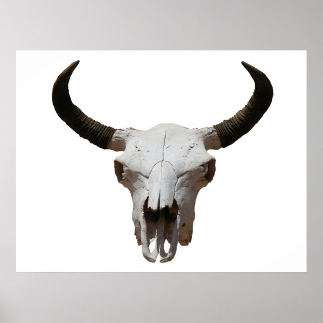 Póster Skull (Frente)