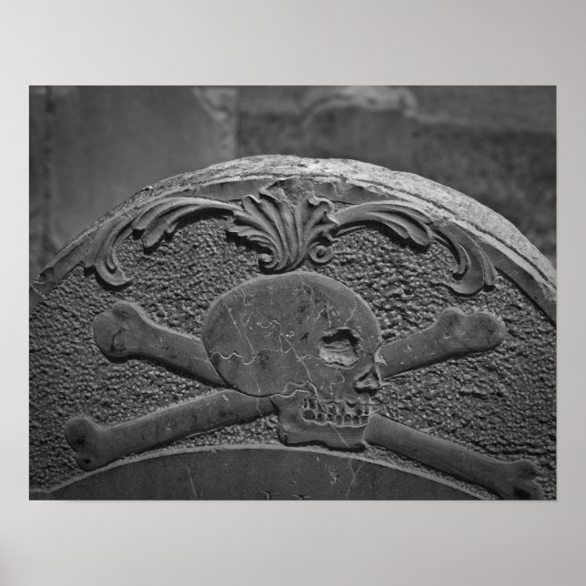 Póster Skull & Crossbone (Frente)