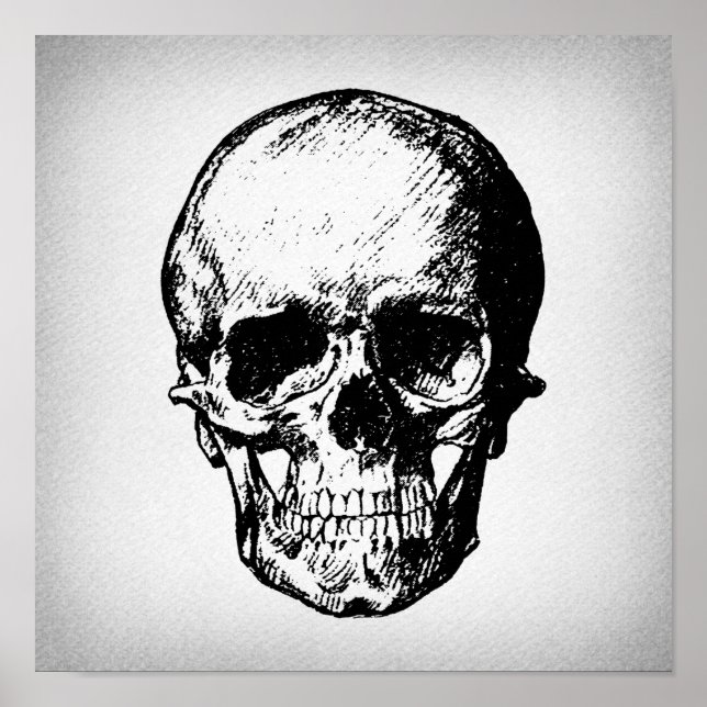 Póster Skull Illustration Vintage Art (Frente)