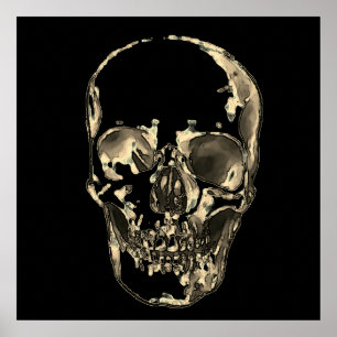 Póster Skull Pop Art Sepia Black Retro