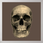 Póster Skull Pop Art Sepia Retro<br><div class="desc">Skeleton de arte fantasmal - tonos azules y morados Punk fuerte Metalizado Rock College Imagen de arte pop</div>