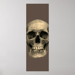 Póster Skull Pop Art Sepia Retro