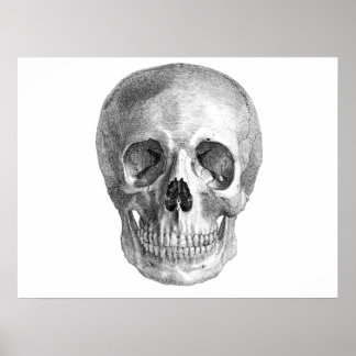 Póster Skull Sketch perfecto para fiestas de Halloween.