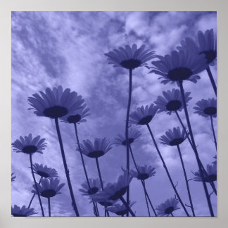 Póster Sky Gazers