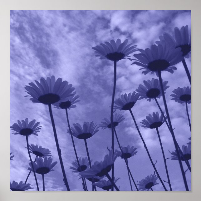 Póster Sky Gazers (Frente)