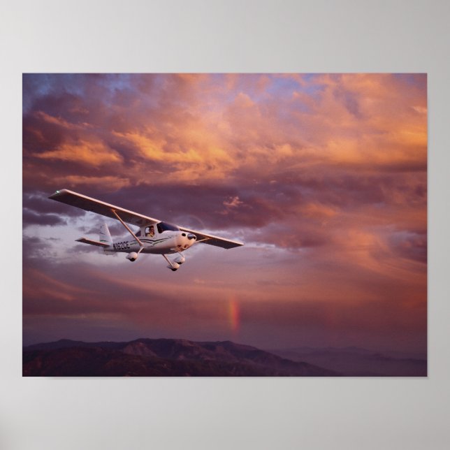 Póster Skycatcher Skyfire (Frente)