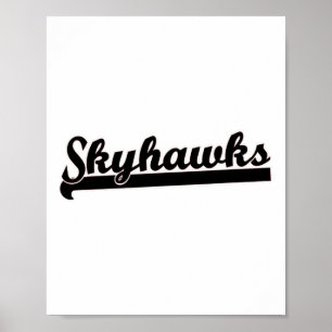 Póster Skyhawks Lacrosse Voleibol Skydiving Basketball
