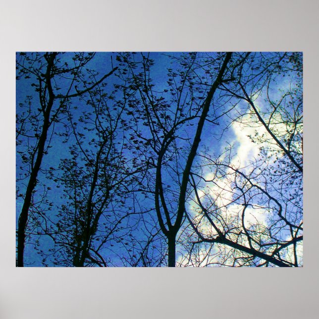 Póster Skyline through Fall Tree Scaps - Isla de Toronto (Frente)