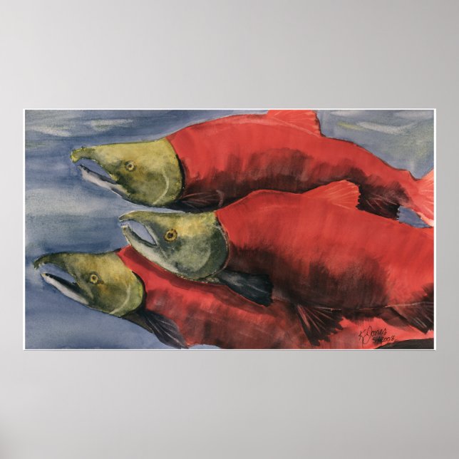 Póster ¡Slamon Salmon! (Frente)