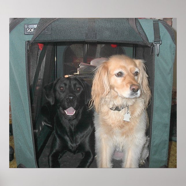 Póster Slate y Sasha (Frente)