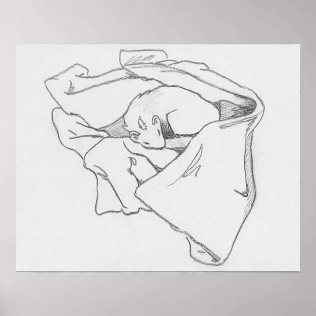 Póster "Sleeping Dragon" Ferret Drawing Poster (Frente)