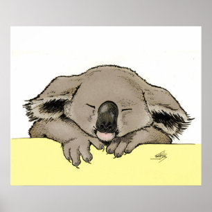 Póster Sleeping koala