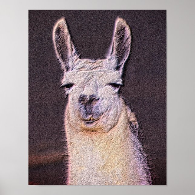 Póster Sleepy Llama Face Animal Art (Frente)