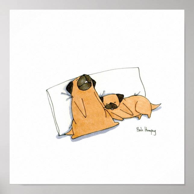 Póster Sleepy Pugs (Frente)