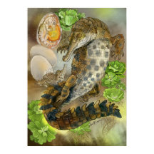 Slender Snoued Crocodile