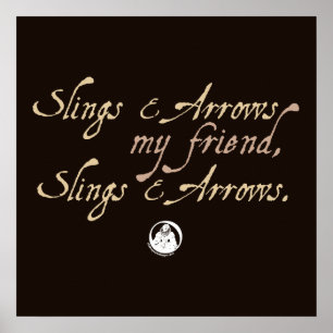 Póster Slings y Flechas