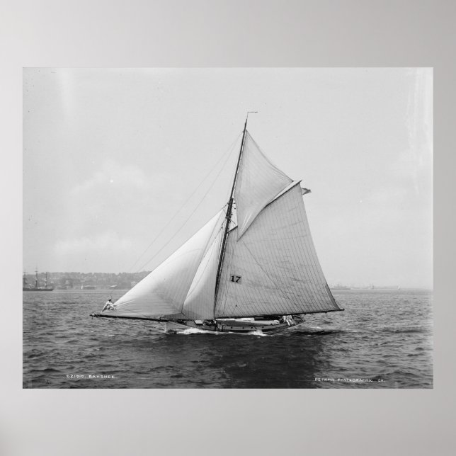 Póster Sloop Banshee (Frente)