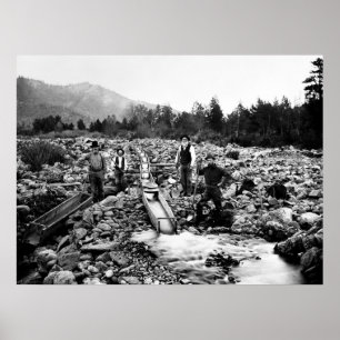 Póster SLUICING for GOLD c. 1890