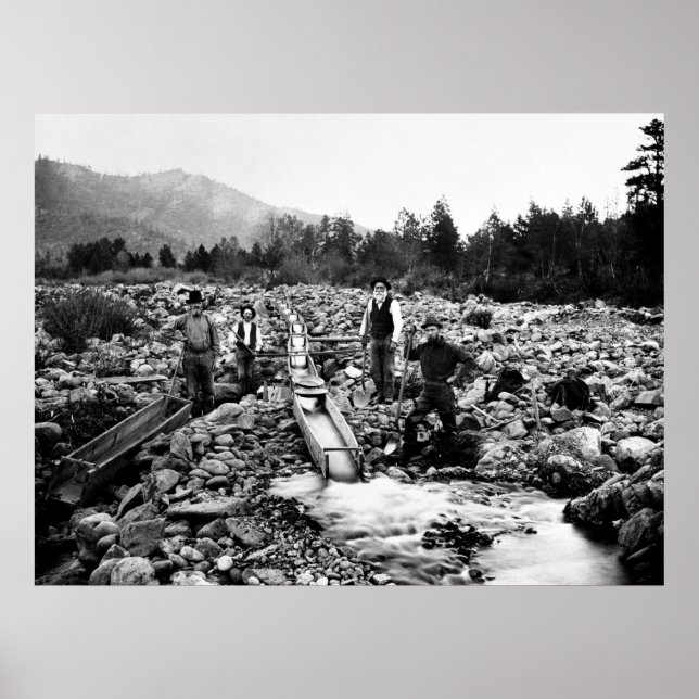 Póster SLUICING for GOLD c. 1890 (Frente)