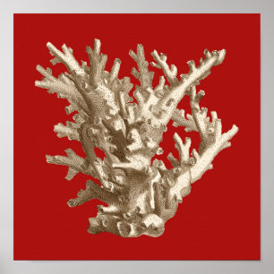 Póster Small Coral in Red