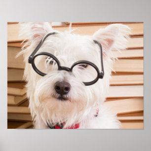 Póster Smart Doggie