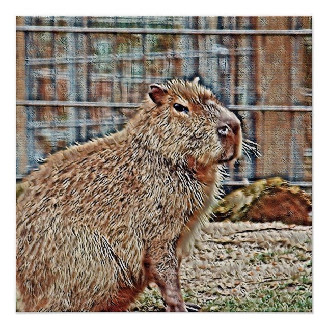 Póster SmartMix Animal- Capibara (Anverso)