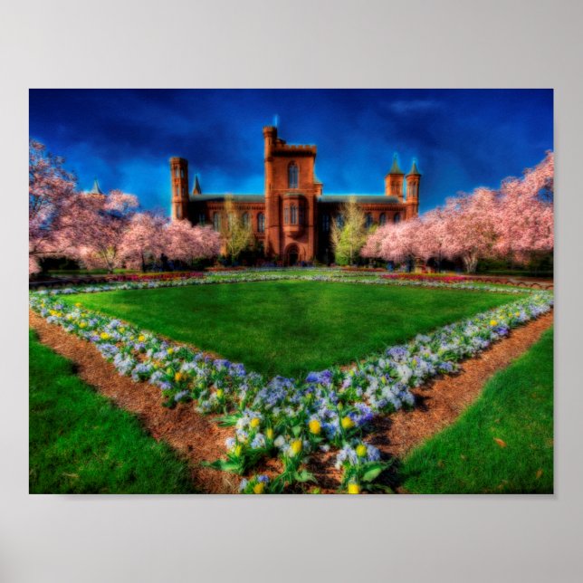Póster Smithsonian Castle Garden Cherry Blossoms (Frente)