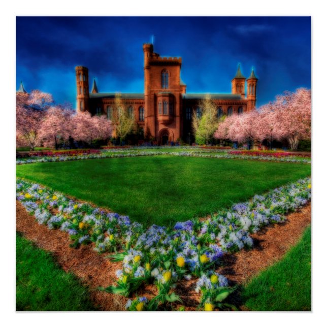 Póster Smithsonian Castle Garden Cherry Blossoms (Anverso)