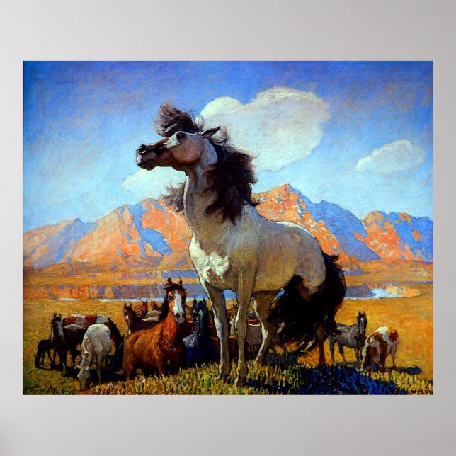 Póster Smokey Face N C Wyeth Circa 1917 (Frente)