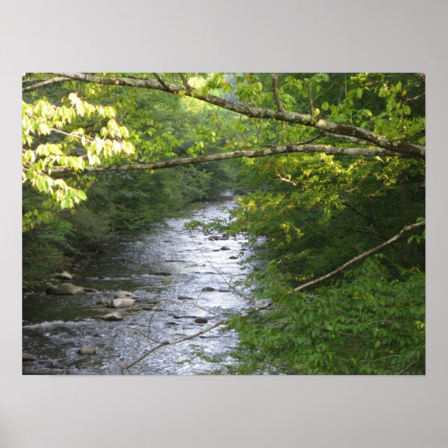 Póster Smokey Mountains (Frente)