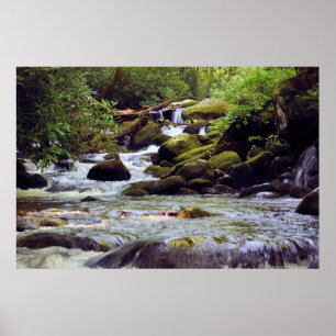 Póster Smoky Mountain Stream - GSMNP