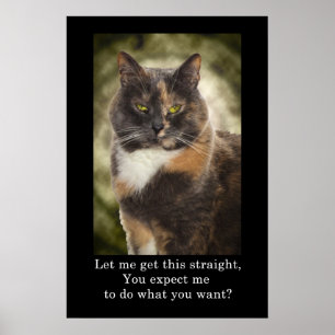 Póster Smug Kitty - ¿Quieres Lo Que Quieres?