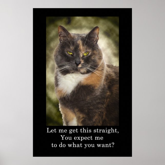 Póster Smug Kitty - ¿Quieres Lo Que Quieres? (Frente)