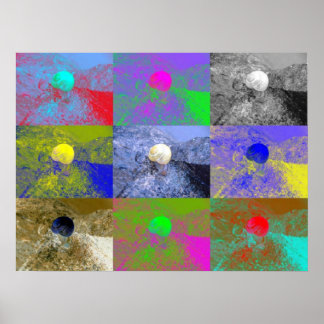 Póster Snail Cepaea Pop Art