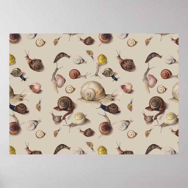 Póster Snail Garden Mascota Gastropod Slug Caracoles botá (Frente)