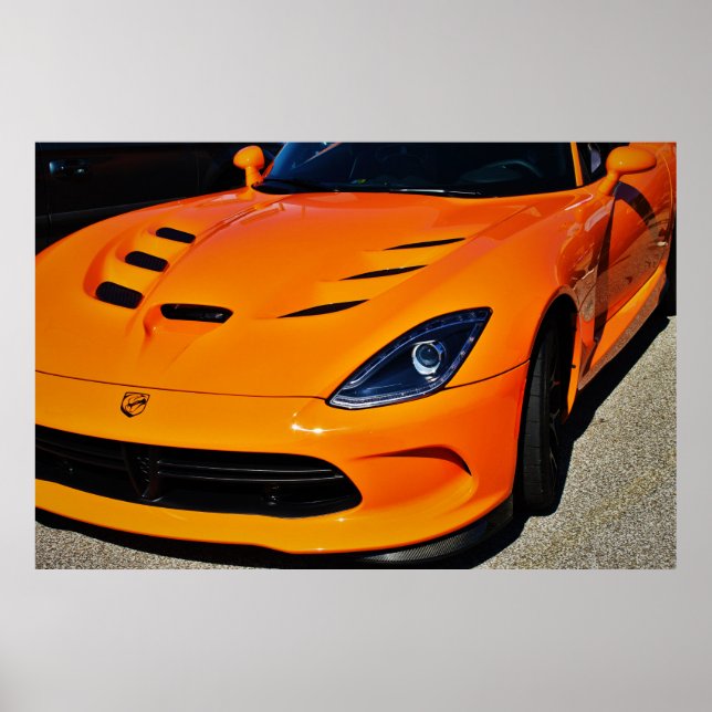 Póster Snake Bitten (Frente)