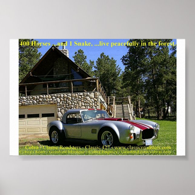 Póster SnakeNGrass (Frente)